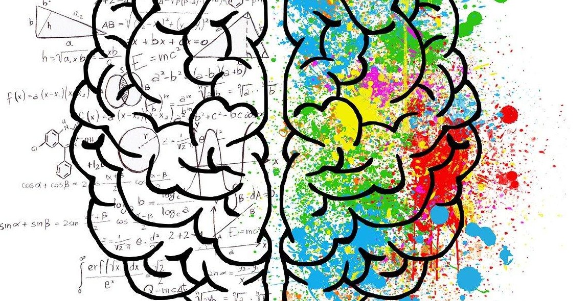 color psychology brain