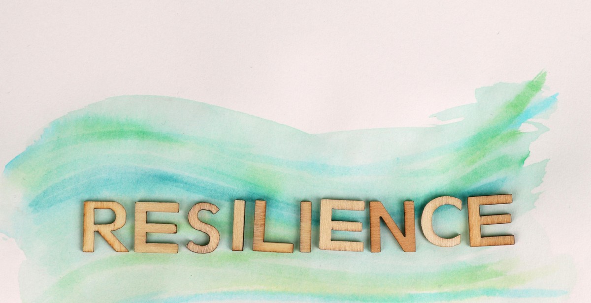 resilience definition